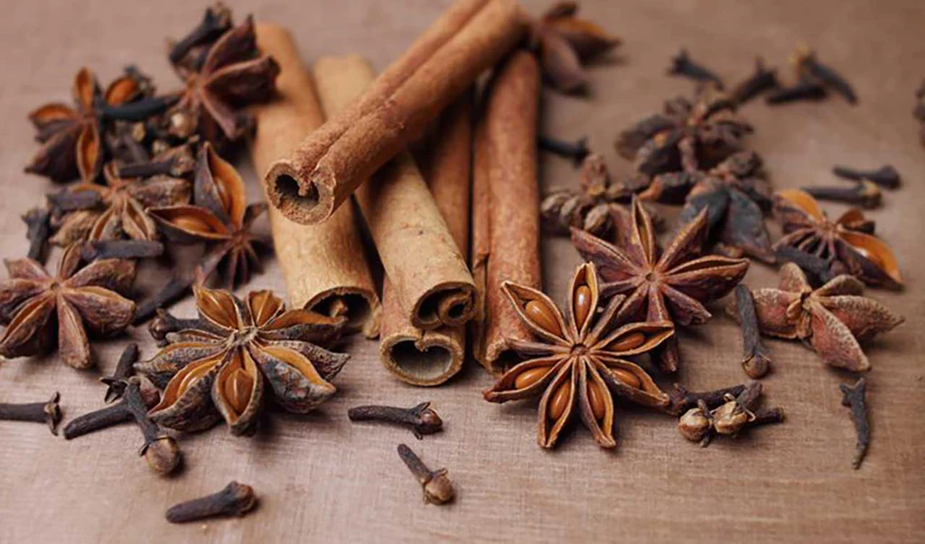 image shows the ingredients cinnamon, cloves, anise, cardamom, coriander, ginger and mace