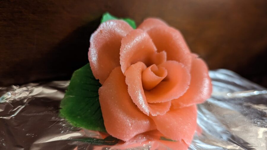 This is an image of the marzipan rose shiny