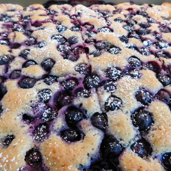 just an image of the delicious blueberry square, German style