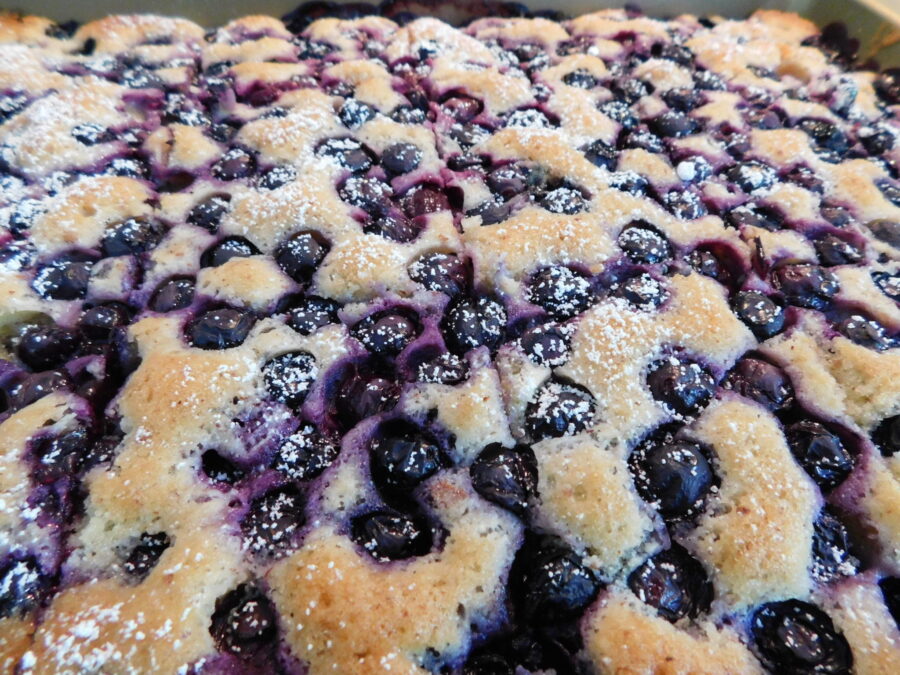 blueberrycake just an image of the delicious blueberry square, German style