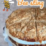 Bee-Sting-Bienenstich Delicious Bee Sting (Bienenstich) cake with soft dough, honey-caramelized almonds, and a rich vanilla pastry cream filling, topped with a golden, sweet almond glaze